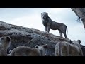 Scar Becomes King Scene THE LION KING Movie Scene 2019