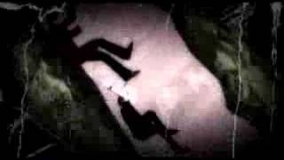 Cuckoo Spit - The Vanishing