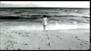 Paul van dyk- together we will conquer