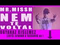 MR.MISSH-NEM TE VOLTÁL 