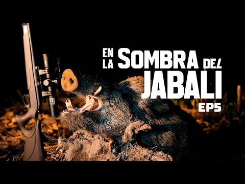 Ep. 5 Hunting two large wild boars in the dark | Night hunting with PARD |