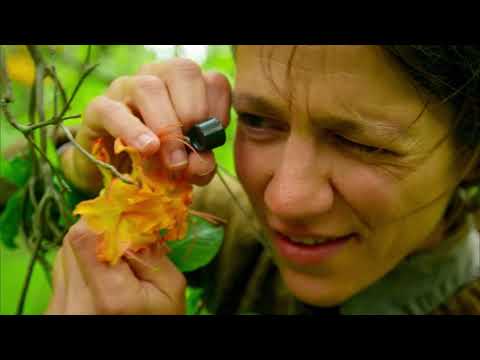 News 22 Live on KRWG-TV, April 5, 2019, NMSU Journalism and Media Studies Department