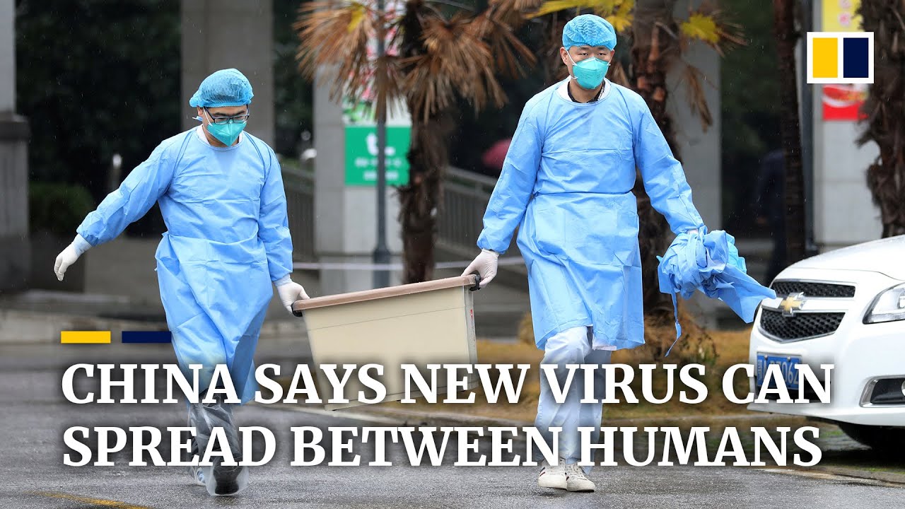 <h1 class=title>China confirms new coronavirus can be transmitted between humans</h1>