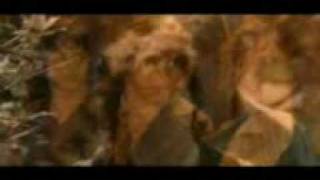 Battlelore The War of Wrath