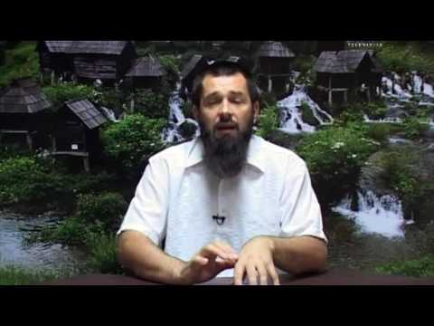 Enes Julardžija I Čime čovjek siječe ljudsko dostojanstvo?