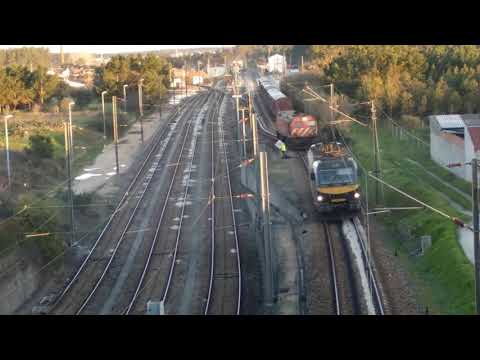 Comboio cimenteiro - 13fev19 - Louriçal
