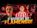 FLAMENGO IN THE MARKET MAURO CEZAR OPENS UP ABOUT MILLION DOLLAR NEGOTIATIONS
