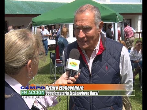 Arturo Etchevehere - Angus Entrerriano 2017