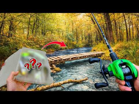 The river is small... the pike are enormous?