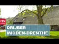 Drijber | Donders Mooi Drenthe