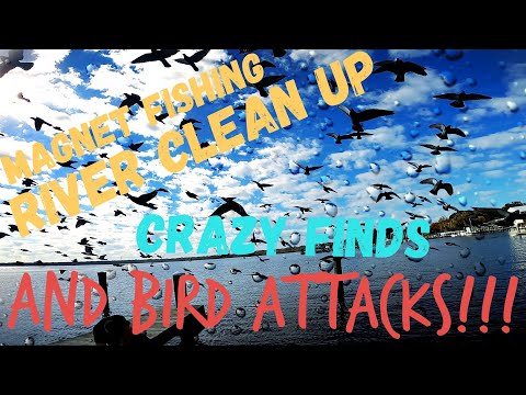 Magnet Fishing off of a fishing pier/boat dock with some amazing finds!