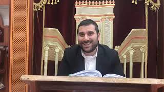 Tou Bichvat Dignite vs Humilite