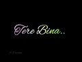 Tere Bina Tezz New Love WhatsApp Status