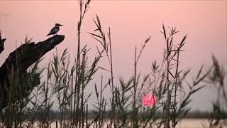 [AS BUMP] Matthew Dear - Death To Feelers