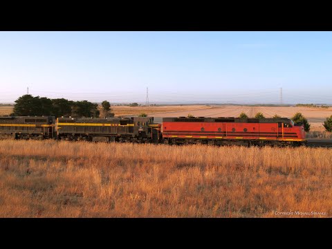 7922V SCT / SBR Dooen Container Train At Sunset With CLF2 X31 C501 (7/3/2024) - PoathTV Railways