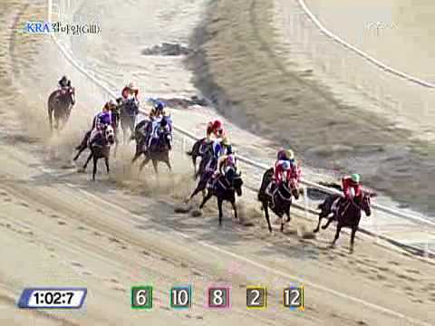 2009 KRA Cup Mile (G3)