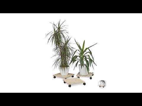 Pflanzenroller 3er Set Schwarz - Braun - Holzwerkstoff - Kunststoff - 35 x 8 x 35 cm