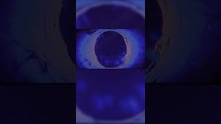 [6/9(火)0:00公開]鈍色の蛹 feat. 鏡音リン / Sig-Rick. #shorts
