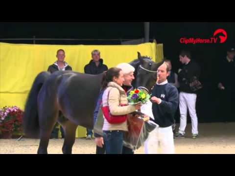 Siegerhengst | Fürst Heinrich x Sir Donnerhall I | Mecklenburger Körung | 2015