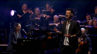 The Cat Empire - Miserere (Live at Sydney Opera House) (Official Live Video)