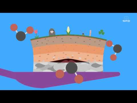 Sustainable Soil Management: Soil for life | WageningenX on edX | Course About Video