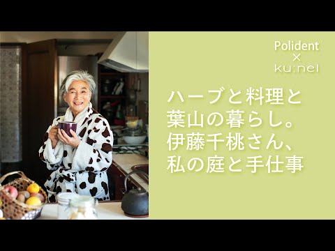 園芸 植物とスパイス