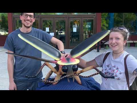 EdVenture's Firefly Creation in Timelapse