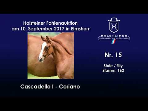 Nr. 15 v. Casacdello I - Coriano