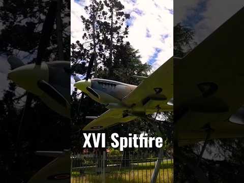 Mk XVI Spitfire #shorts #nz