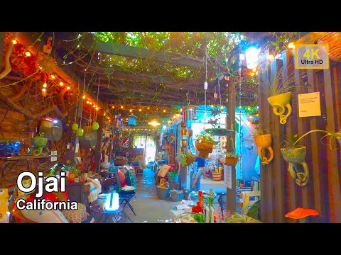 youtube embeded image