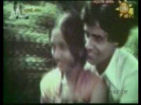 Chamara Selunawe T M Jayarathne & Neela Wickramasinghe