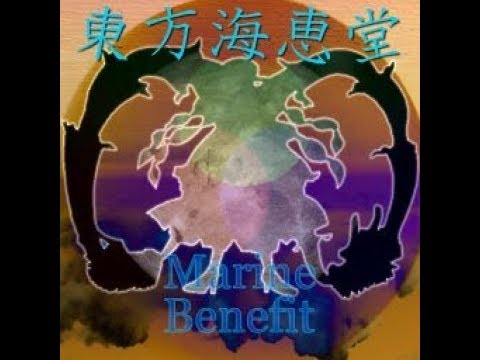Doujin dive! Fan Touhou-based STG "Marine Benefit" (RU)