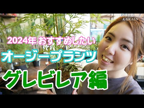 園芸 チャレフ・エレアグナス