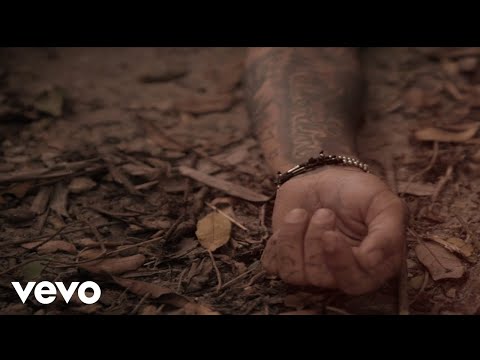 Paradox A.O.N. - Never Alone