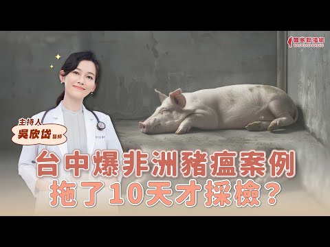  - 保護台灣大聯盟 - 政治文化新聞平台