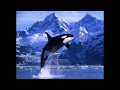 23 июля - Всемирный день китов и дельфинов 