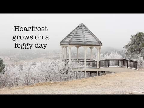 Hoarfrost gently grows in fog