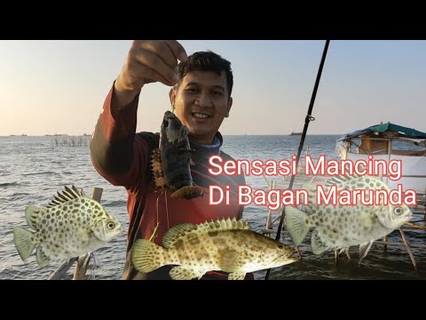 Mancing Bagan Marunda | Bagan Yunus No 2