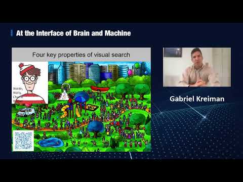 Prof  Gabriel Kreiman -- How Brain Computations Can Inspire New AI
