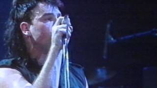 U2   October/New Year&#39;s Day Live 1984