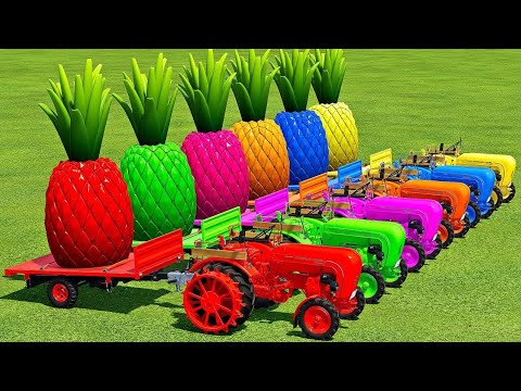 LOAD & TRANSPORT GIANT PINEAPPLE WITH ZETOR TRACTORS - Farming Simulator 22