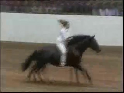 download lagu mp3 mp4 Horse Without Reins, download lagu Horse Without Reins gratis, unduh video klip Horse Without Reins