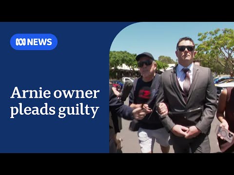 Owner of Arnie the German shepherd pleads guilty over dog's death | ABC NEWS