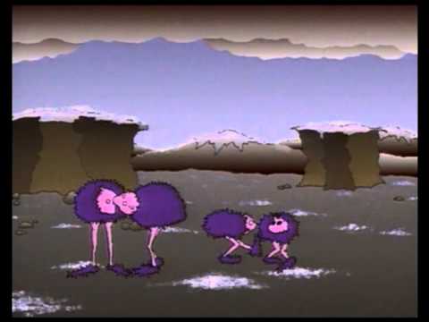 Schlüssel zur genetischen Vielfalt - Meiose, Crossing-Over, Mutation