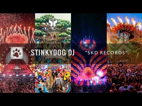 Galantis vs Tiesto & Kshmr - No Money Secrets (Da Brozz Edit)