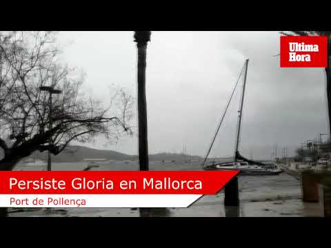 Gloria azota al Port de Pollença