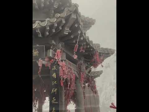 棄我去者，昨日之日不可留.