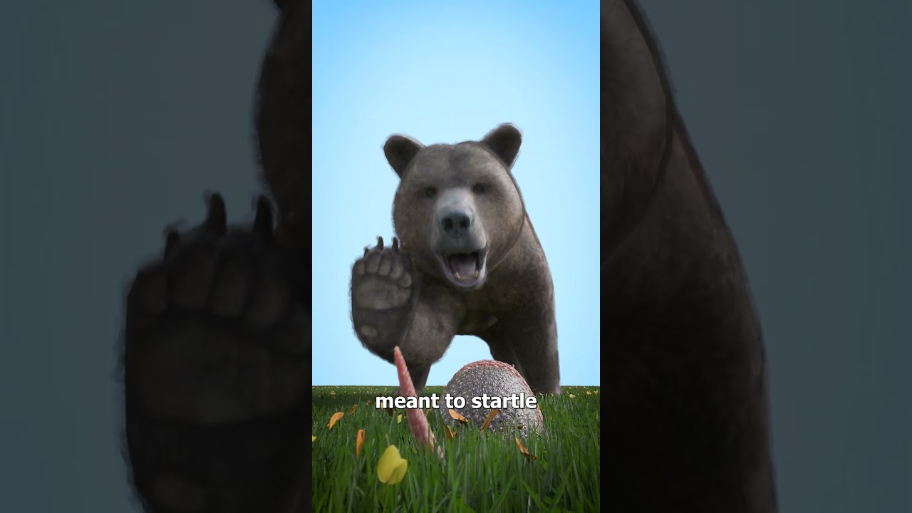 Armadillos Jump Into Oncoming Cars 😱