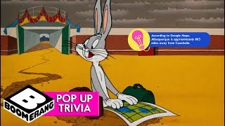 Looney Tunes  Bully For Bugs  Pop Up Trivia  Boome