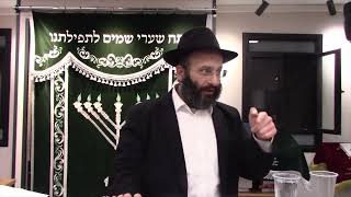 מה הכוונה להתנהג במידת חסידות לפי ההלכה (הרב אלחנן משה נחמנסון) - התמונה מוצגת ישירות מתוך אתר האינטרנט יוטיוב. זכויות היוצרים בתמונה שייכות ליוצרה. קישור קרדיט למקור התוכן נמצא בתוך דף הסרטון